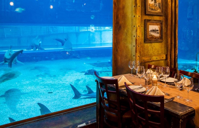 Dining Underwater: Dubai's Subaquatic Restaurants