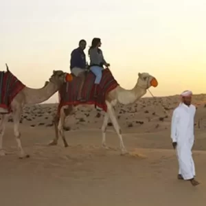 Arabian Kings Tours | Basic or VIP Desert Safari for Up to Four