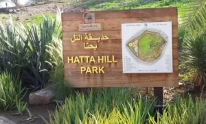 Arabian Kings Tours | Hatta Mountain Safari with Picnic for up to 6