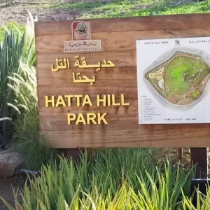 Arabian Kings Tours | Hatta Mountain Safari with Picnic for up to 6