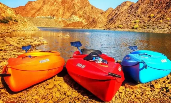 Arabian Kings Tours | Hatta Mountain Safari with Picnic for up to 6