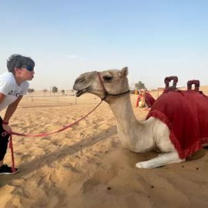 Adventure Gate Tours | Red Dunes Desert Safari with Live Entertainment