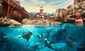 RS Tourism | Entry Ticket to Dubai Aquarium and Underwater Zoo (Copy)