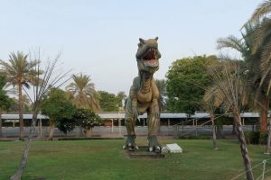 Al Khaima Tours | Glow Garden, Dino Park and Magic Park Entry Ticket