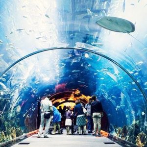 Al Khaima Tours | Aquaventure Water Park and Lost Chambers Combo Entry Ticket