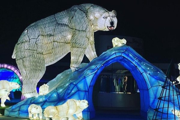 Al Khaima Tours | Glow Garden, Dino Park and Magic Park Entry Ticket