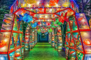 Al Khaima Tours | Glow Garden, Dino Park and Magic Park Entry Ticket