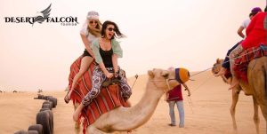 Desert Falcon Tourism | Desert Safari Packages