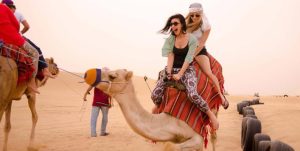 Desert Falcon Tourism | Desert Safari Packages (Copy)