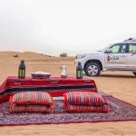 Desert Wonder with BBQ Dinner For 1
