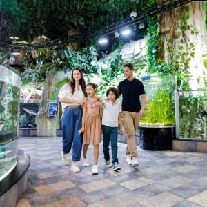 Dubai Aquarium & Underwater Zoo | Ultimate Experience