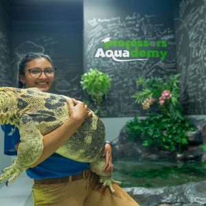 The National Aquarium Abu Dhabi - Beyond The Glass Experience