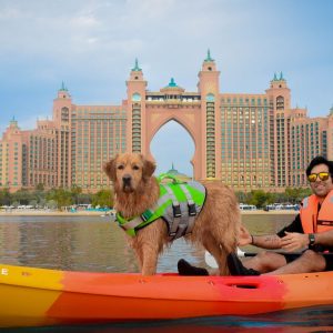 30-Minute Single-Seat Kayak Experience at Palm Jumeirah For 1