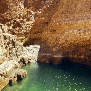 Wadi Adventure – Shared Vehicle