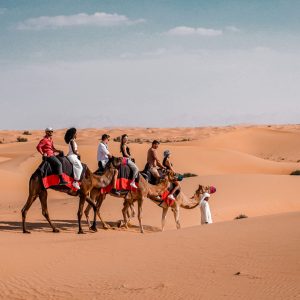 Camel Ride Experience