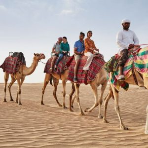 Camel Ride Experience (Winter) - Private Vehicle (maximum 6 pax)