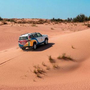 Morning Desert Adventure - Shared vehicle For 1
