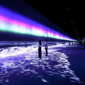 ARTE MUSEUM DUBAI - VIP Package