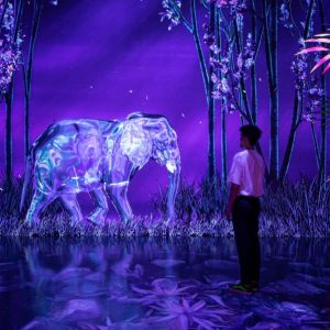 ARTE MUSEUM DUBAI - VIP Package