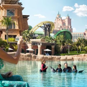Atlantis Dolphin Encounter