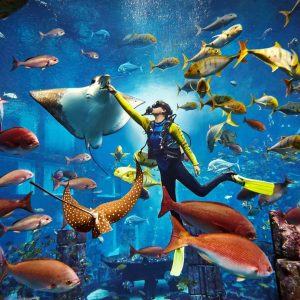 Atlantis Explorer Certified Scuba Dive