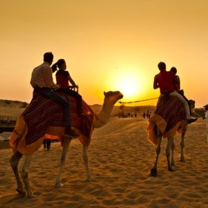 Camel Trekking Tour in Abu Dhabi