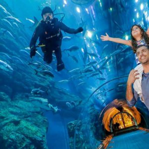 Dubai Aquarium + Penguin Cove with Shared Transfers