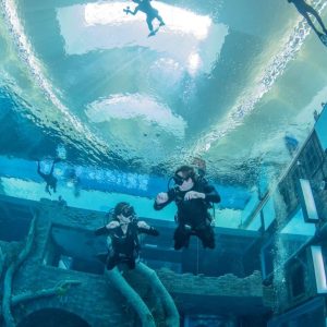 Premium Discover Scuba Dive - up to 12 Metres