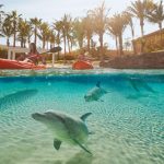 Atlantis Dolphin Kayak