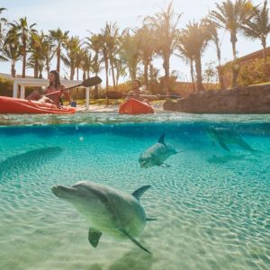 Atlantis Dolphin Kayak