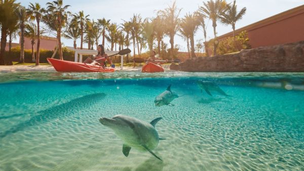 Atlantis Dolphin Kayak