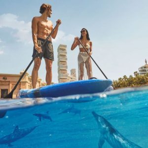 Atlantis Dolphin Paddle