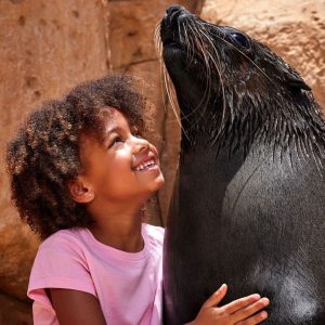Atlantis Sea Lion Meet & Greet