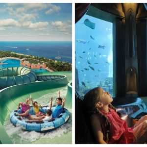 Atlantis Aquaventure - One Day Superpass (TRIDENT PASS)